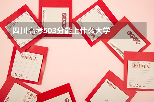 四川高考503分能上什么大学