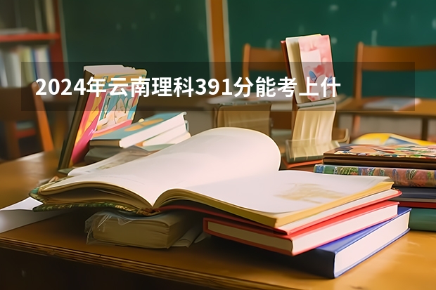 2024年云南理科391分能考上什么大学?