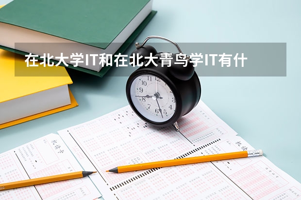 在北大学IT和在北大青鸟学IT有什么区别?