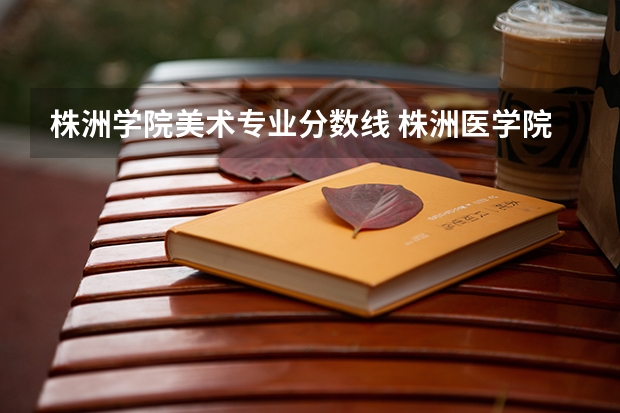 株洲学院美术专业分数线 株洲医学院录取分数线
