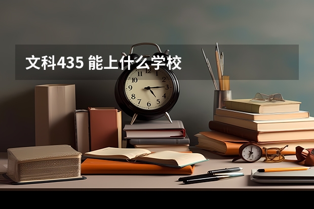文科435 能上什么学校