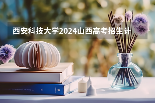 西安科技大学2024山西高考招生计划 招多少人