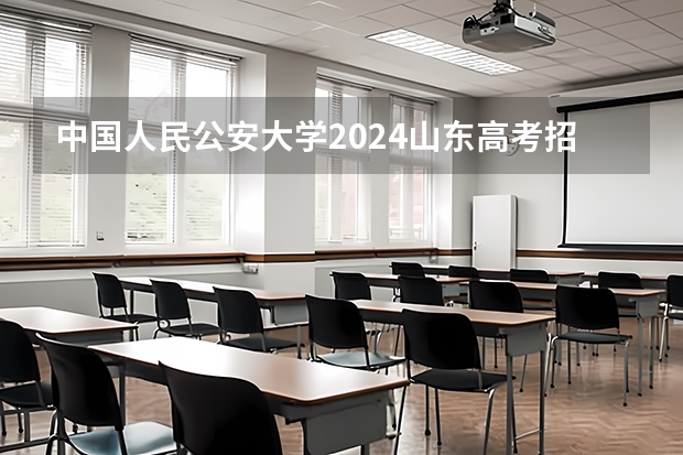中国人民公安大学2024山东高考招生计划 招多少人
