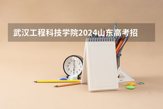 武汉工程科技学院2024山东高考招生计划 招多少人
