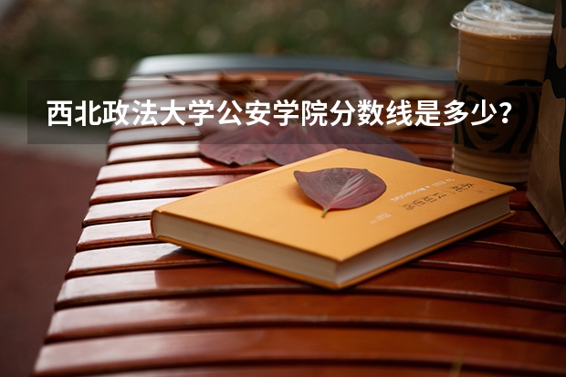 西北政法大学公安学院分数线是多少？